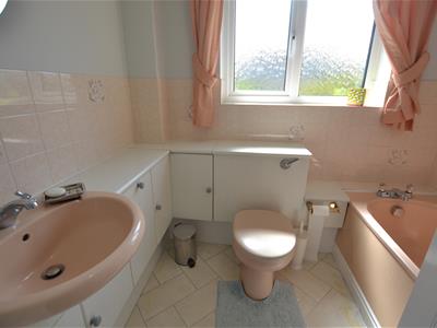 Picture 17